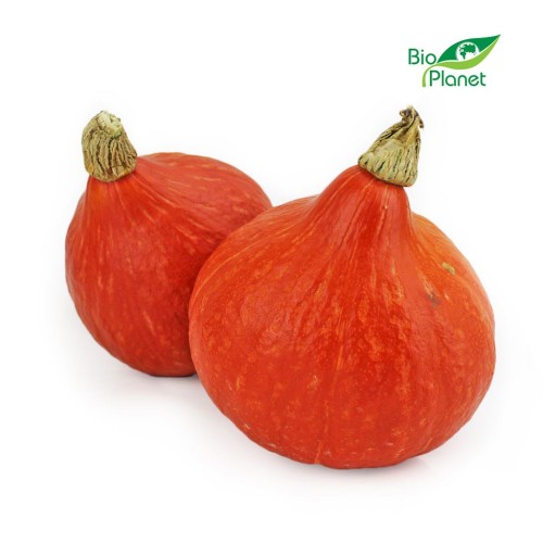 20164OPAKOWANIE ZBIORCZE (kg) - DYNIA HOKKAIDO ŚWIEŻA BIO (POLSKA) (około 10 kg)-1