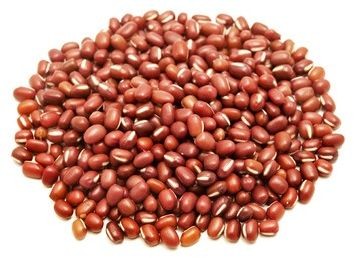 20201FASOLKA ADZUKI BIO (SUROWIEC) (25 kg) 2-1