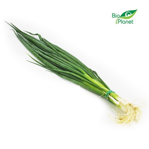 20294CEBULA ZE SZCZYPIORKIEM BIO (POLSKA) (około 0,12 kg)-1