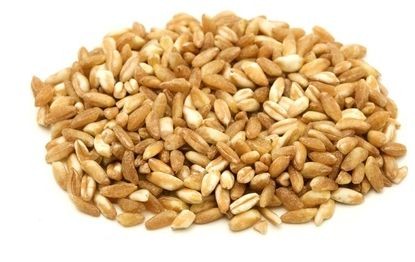 20512ORKISZ (ZIARNO) BIO (SUROWIEC) (25 kg) 8-1
