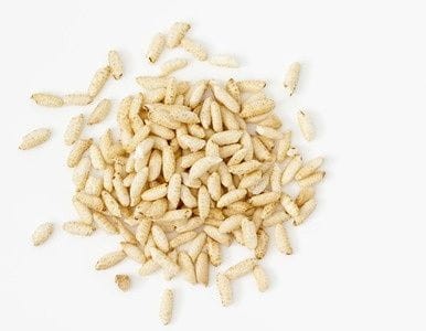 20515RYŻ BRĄZOWY EKSPANDOWANY BIO (SUROWIEC) (8 kg) 2-1