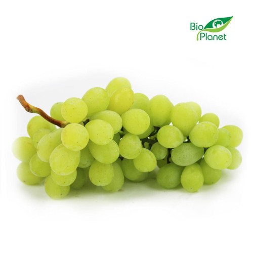 20676WINOGRONA BIAŁE ŚWIEŻE BIO (około 0,50 kg)-1