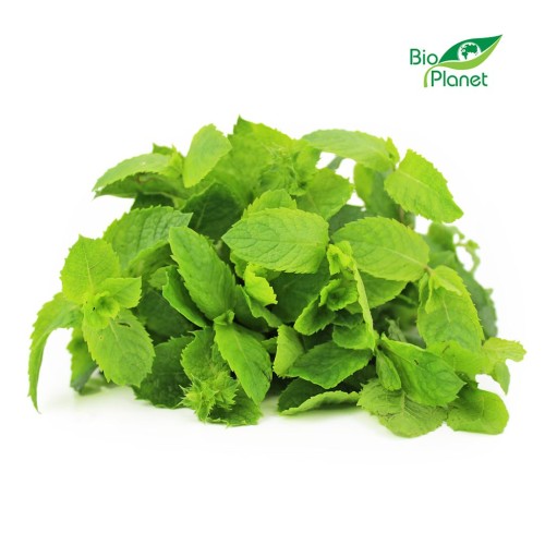 21639MIĘTA ŚWIEŻA BIO (POLSKA) (około 50 g)-1
