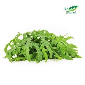 RUKOLA ŚWIEŻA BIO (POLSKA) (około 100 g)