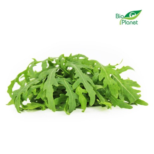 21640RUKOLA ŚWIEŻA BIO (POLSKA) (około 100 g)-1