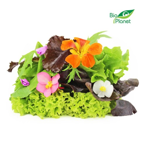 21716MIX SAŁAT ŚWIEŻY BIO (POLSKA) (około 0,10 kg)-1