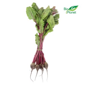 BOTWINA ŚWIEŻA BIO (POLSKA) (pęczek około 0,25 kg) Podnosi odporność wspomaga układ krążenia