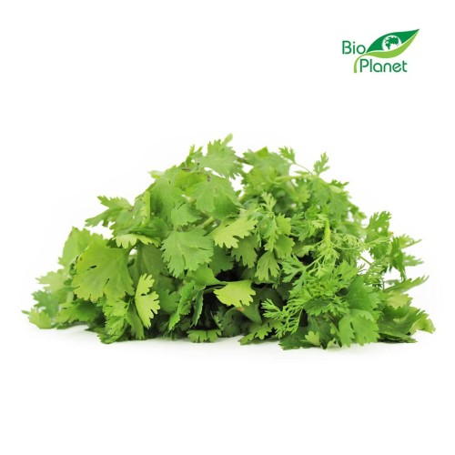 21758KOLENDRA ŚWIEŻA BIO (POLSKA) (około 50 g)-1