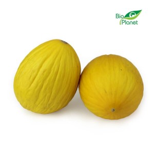 MELON ŚWIEŻY BIO (około 0,40 kg) przydatny dla osób z nadciśnieniem i miażdżycą