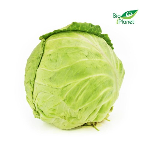 21825OPAKOWANIE ZBIORCZE (kg) - KAPUSTA BIAŁA MŁODA ŚWIEŻA BIO (POLSKA) (około 9 kg)-1