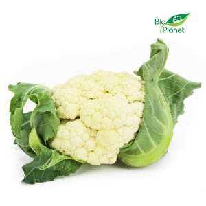 KALAFIOR ŚWIEŻY BIO (POLSKA) (około 0,60 kg) to źródło błonnika, przeciwutleniaczy i fitosteroli
