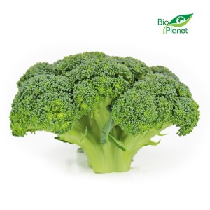 BROKUŁY ŚWIEŻE BIO (POLSKA) (około 0,50 kg) ma niski indeks glikemiczny i mało kalorii