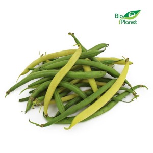 OPAKOWANIE ZBIORCZE (kg) - FASOLKA SZPARAGOWA BIO (POLSKA) (około 3 kg)