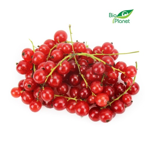 22011PORZECZKI CZERWONE ŚWIEŻE BIO (POLSKA) (około 0,20 kg)-1