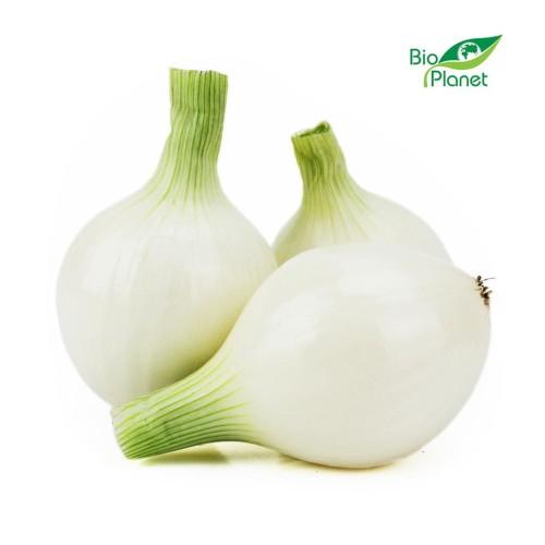 22066OPAKOWANIE ZBIORCZE (kg) - CEBULA BIAŁA ŚWIEŻA BIO (POLSKA) (około 5 kg)-1