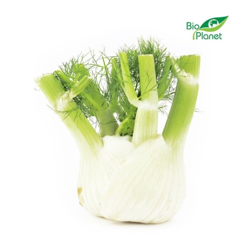 23089OPAKOWANIE ZBIORCZE (kg) - KOPER WŁOSKI ŚWIEŻY (FENKUŁ) BIO (około 7 kg )-1