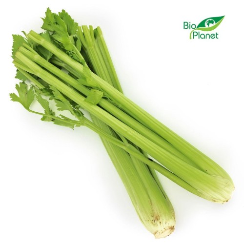 23150SELER NACIOWY ŚWIEŻY BIO (około 0,40 kg)-1