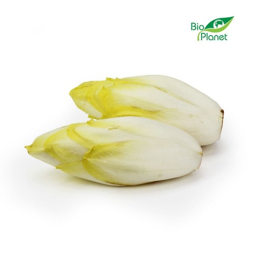 23264CYKORIA ŚWIEŻA BIO (około 0,50 kg)-1