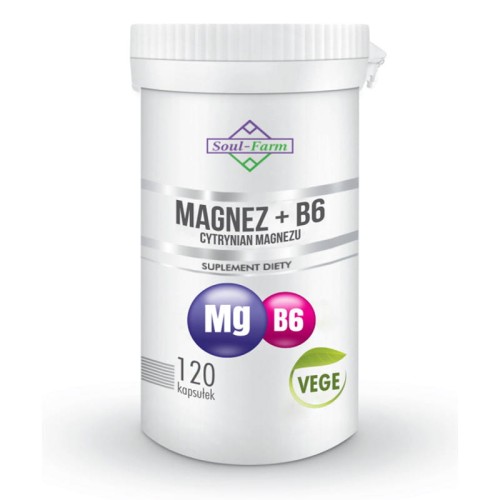 23753MAGNEZ + WITAMINA B6 120 KAPSUŁEK (97,5 mg + 1,4 mg) - SOUL FARM-1