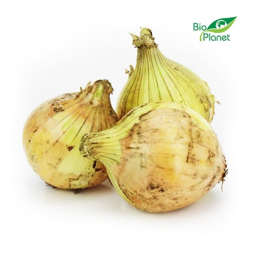 23849CEBULA ŻÓŁTA ŚWIEŻA BIO (POLSKA) (około 1,00 kg)-1