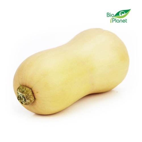 23853DYNIA PIŻMOWA (BUTTERNUT) ŚWIEŻA BIO (około 1,00 kg)-1