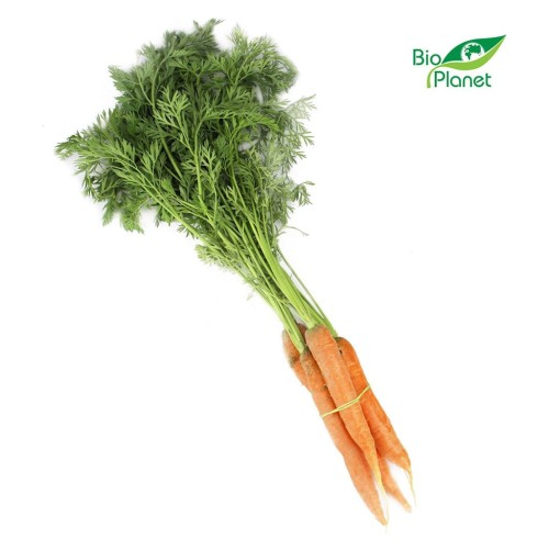 24247MARCHEW MŁODA Z NATKĄ ŚWIEŻA BIO (POLSKA) (około 0,30 kg)-1