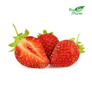 TRUSKAWKA ŚWIEŻA BIO (POLSKA) (opakowanie ok. 0,50 kg) jedzenie truskawek pobudza pracę jelit