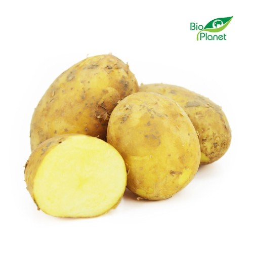 24572ZIEMNIAKI ŻÓŁTE MŁODE ŚWIEŻE BIO (POLSKA) (około 2,00 kg)-1