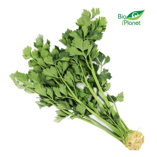 24862SELER Z NACIĄ ŚWIEŻY BIO (POLSKA) (około 0,25 kg)-1