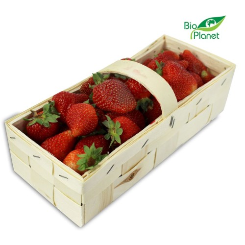 24867TRUSKAWKA ŚWIEŻA BIO (POLSKA) (opakowanie około 2,00 kg)-1