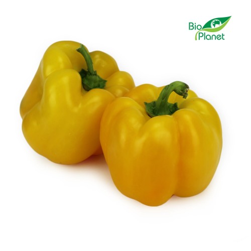 24956OPAKOWANIE ZBIORCZE (kg) - PAPRYKA ŻÓŁTA ŚWIEŻA BIO (POLSKA) (około 5 kg)-1