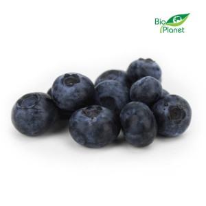 BORÓWKI ŚWIEŻE BIO (POLSKA) (około 0,50 kg)