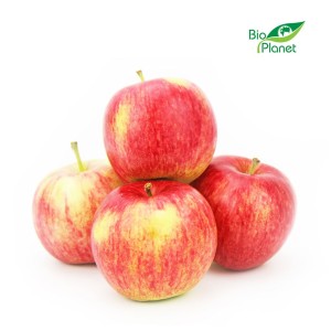 OPAKOWANIE ZBIORCZE (kg) - JABŁKA ŚWIEŻE BIO (PIROS - POLSKA) (około 13 kg)