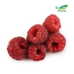 MALINY ŚWIEŻE BIO (POLSKA) (około 0,20 kg)