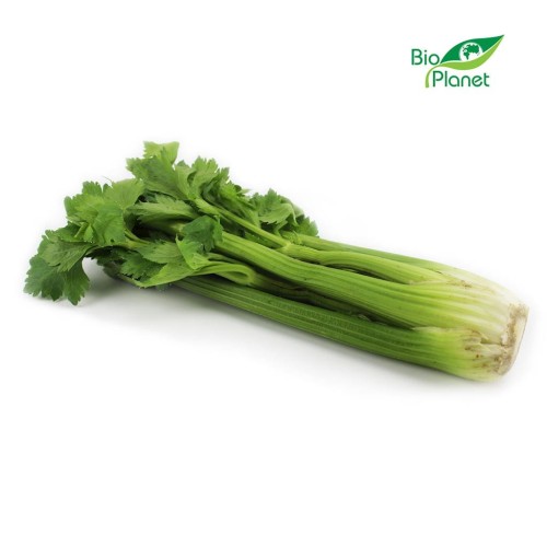 25456OPAKOWANIE ZBIORCZE (szt) - SELER NACIOWY ŚWIEŻY BIO (POLSKA) (około 10 sztuk)-1