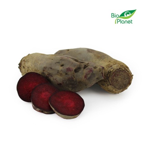 25461OPAKOWANIE ZBIORCZE (kg) - BURAK PODŁUŻNY ŚWIEŻY BIO (POLSKA) (około 5 kg)-1
