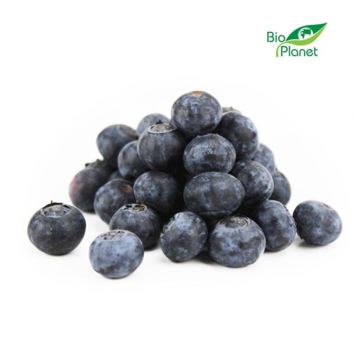 25553BORÓWKI ŚWIEŻE BIO (około 0,125 kg)-1