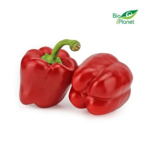 OPAKOWANIE ZBIORCZE (kg) - PAPRYKA CZERWONA ŚWIEŻA BIO (około 5 kg) wykorzystywana w leczeniu infekcji i problemów trawiennych