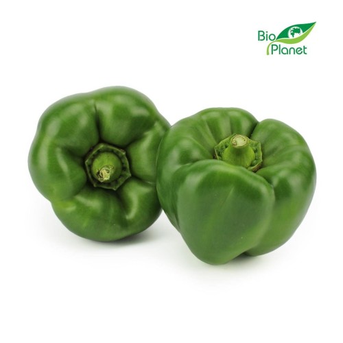 25556PAPRYKA ZIELONA ŚWIEŻA BIO (około 0,50 kg)-1