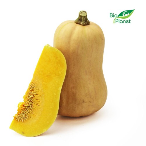 25669DYNIA PIŻMOWA (BUTTERNUT) ŚWIEŻA BIO (POLSKA) (około 2,50 kg)-1