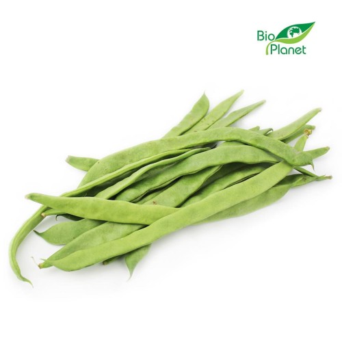 25671FASOLKA PŁASKA ŚWIEŻA BIO (około 0,50 kg)-1