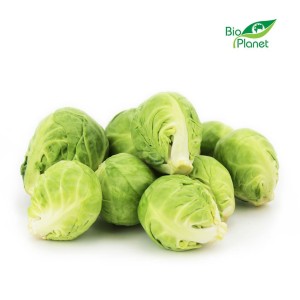 OPAKOWANIE ZBIORCZE (kg) - BRUKSELKA ŚWIEŻA BIO (POLSKA) (około 3 kg)