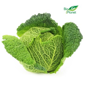 OPAKOWANIE ZBIORCZE (szt) - KAPUSTA WŁOSKA ŚWIEŻA BIO (10 sztuk)