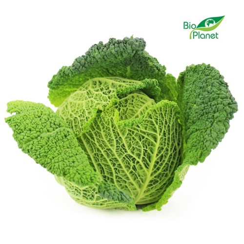 27356KAPUSTA WŁOSKA ŚWIEŻA BIO (około 0,40 kg)-1