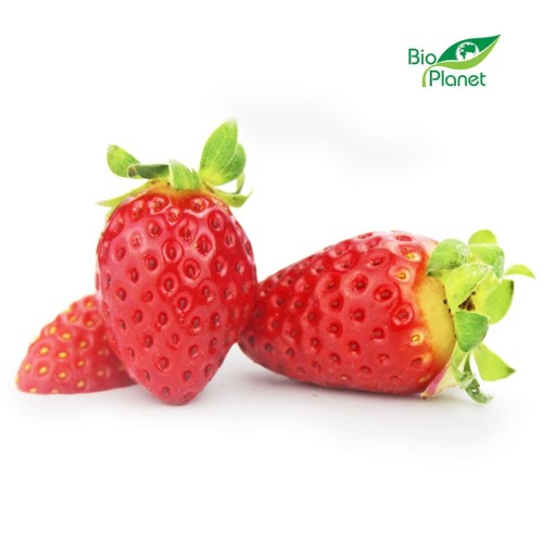 27363TRUSKAWKA ŚWIEŻA BIO (około 0,25 kg)-1