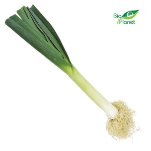 POR ŚWIEŻY BIO (około 0,35 kg)