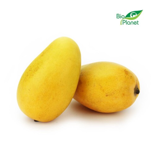 28099MANGO ATAULFO ŚWIEŻE BIO (około 0,20 kg)-1