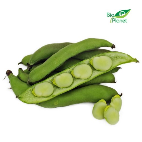 28104BÓB ŚWIEŻY BIO (około 0,50 kg)-1