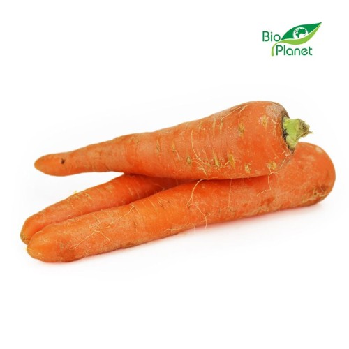 28105OPAKOWANIE ZBIORCZE (kg) - MARCHEW MŁODA ŚWIEŻA BIO (około 10 kg)-1