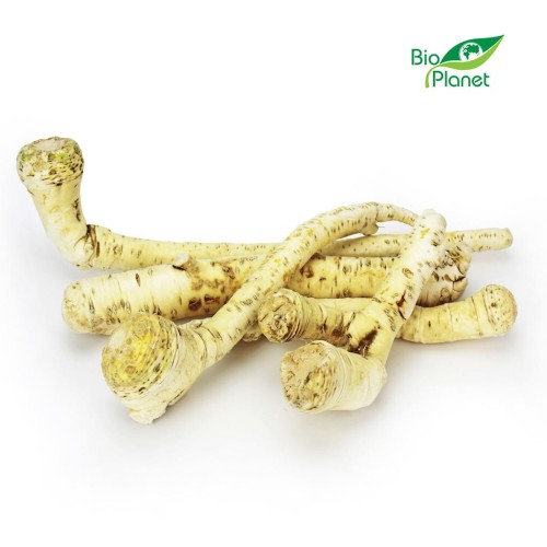 28114OPAKOWANIE ZBIORCZE (kg) - CHRZAN ŚWIEŻY BIO (POLSKA) (około 3 kg)-1